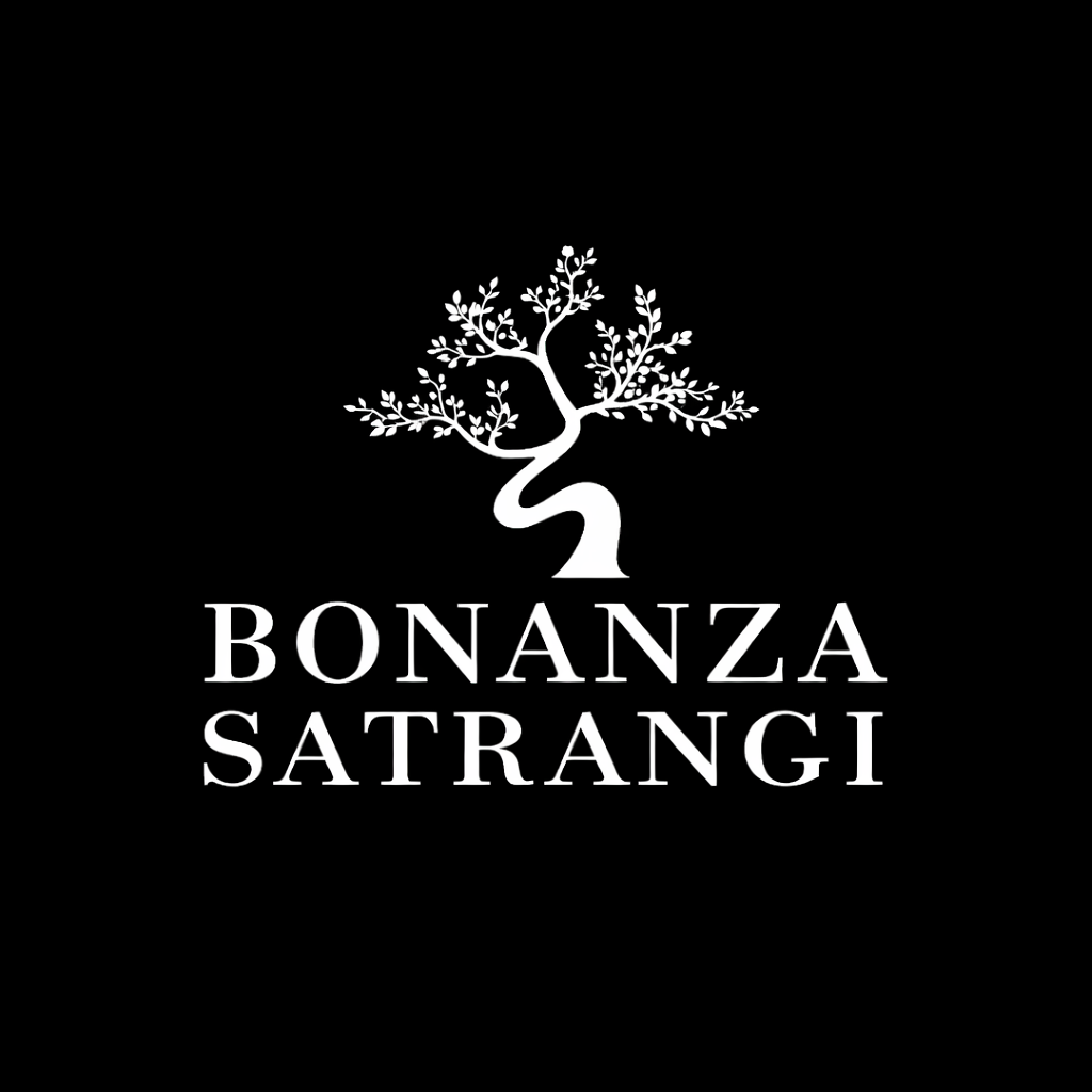 Bonanza Satrangi